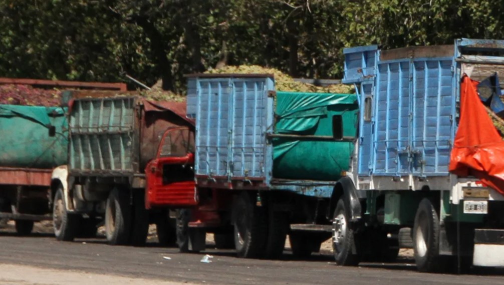 Foto para: Ya no es exigible la RTO para contratar un seguro.