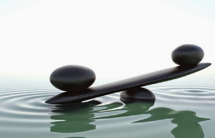 Foto para: El espejismo de los equilibrios vínicos 