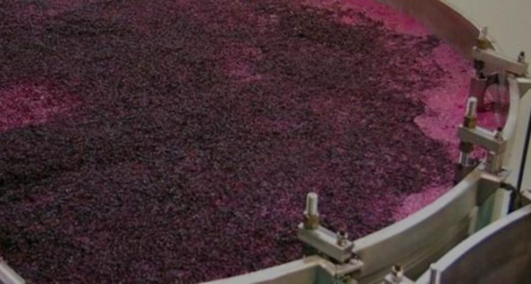 Foto para: Porcentaje a mosto cosecha 2021