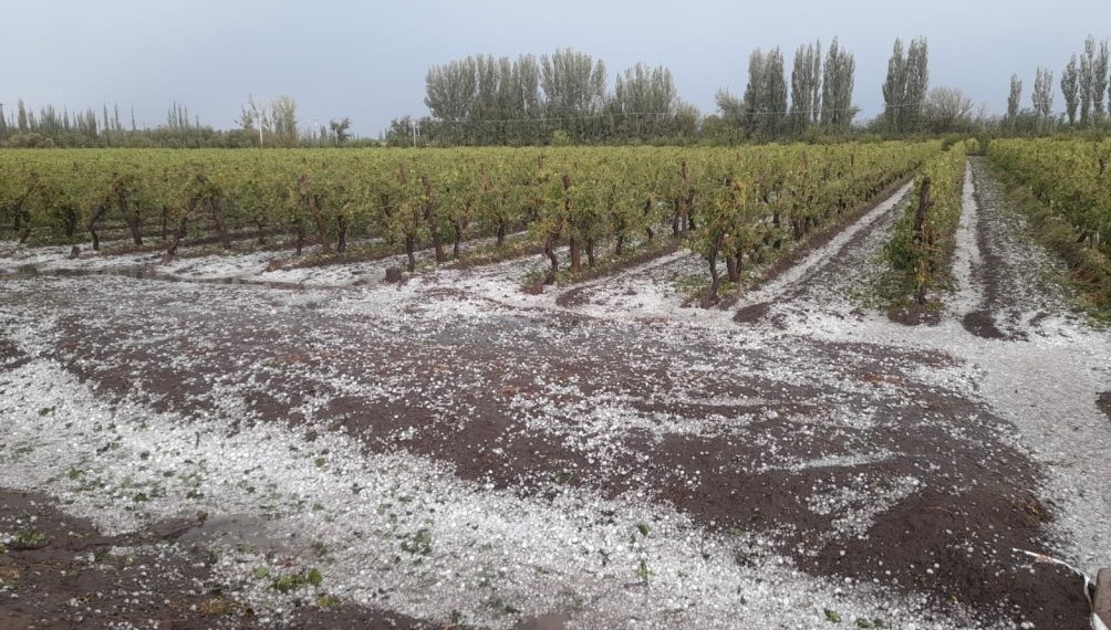 Foto para:  Ley Nacional de Emergencia Agropecuaria N° 26.509