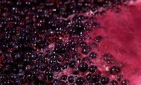 Foto para: <b>DIVERSIFICACION A MOSTO 2016.&nbsp;</b>