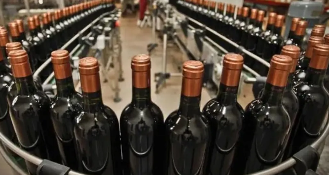 Foto para: Incremento de aranceles para el Instituto Nacional de Vitivinicultura