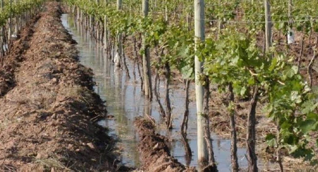 Foto para: Agua subterránea: Irrigación establece plazos progresivos para la incorporación de sistemas de telemetría.